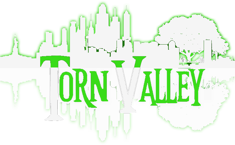Torn Valley Studios